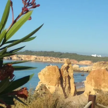 Albur Village B - Hyacinth Appartement